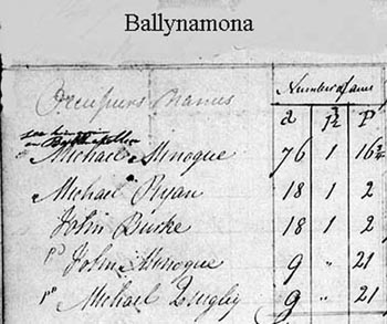 Ballynamona