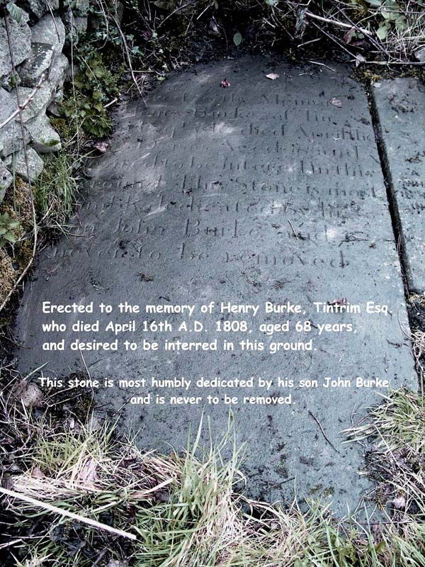 Henry Burke, Tintrim
